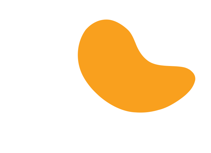 Ficino Montessori PreSchool is a private school in Mt Eden, Auckland.