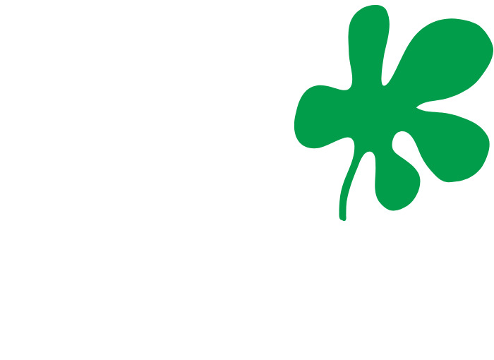 Welcome to Ficino Montessori Preschool, a private school in Mt Eden, Auckland.