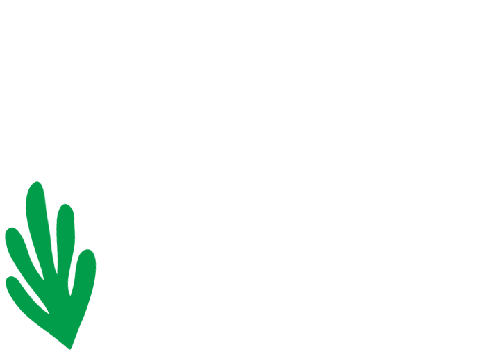 Welcome to Ficino Montessori PreSchool, a private school in Mt Eden, Auckland.