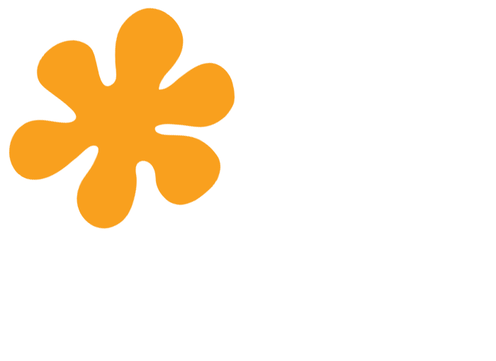 Values at Ficino Montessori Private PreSchool in Mt Eden, Auckland.