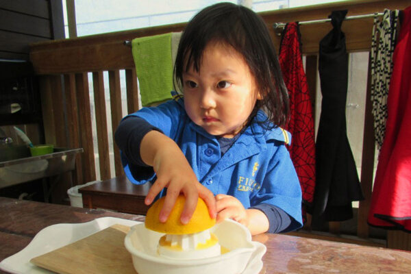 Ficino-Montessori-Preschool-Gallery 4 Child squeezing a lemon at Ficino Montessori Private PreSchool in Mt Eden, Auckland.