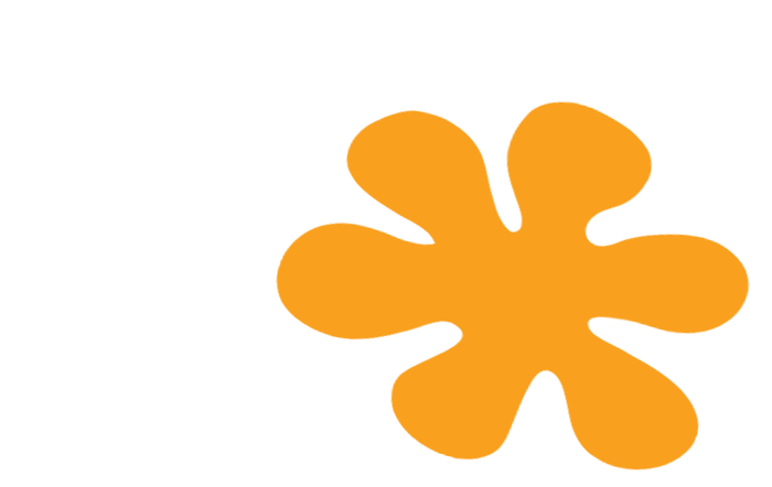 Learn more about the curriculum at Ficino Montessori PreSchool