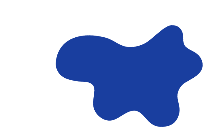 Our Curriculum at Ficino Montessori PreSchool, a private school in Mt Eden, Auckland.